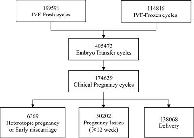 Prognosis of Congenital Anomalies in Conceptions Following In Vitro Fertilization: A Multicenter Retrospective Cohort Study in China